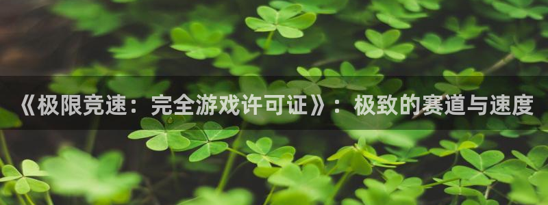 中欧法学院属于几流档次：《极限竞速：完全游戏许可证》：极致的赛道与速度