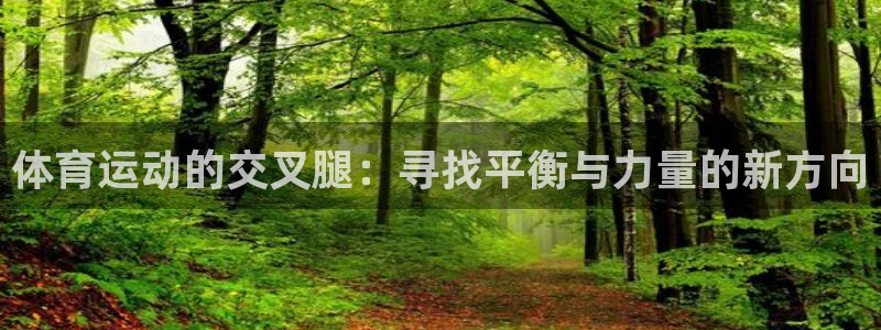 中欧趋势166001基金净值：体育运动的交叉腿：寻找平衡与力量的新方向