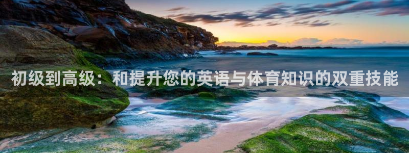 中欧优享债券E怎么样：初级到高级：和提升您的英语与体育知识的双重技能