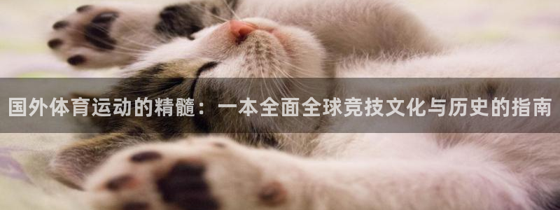 中欧哪些国家：国外体育运动的精髓：一本全面全球竞技文化与历史的指南