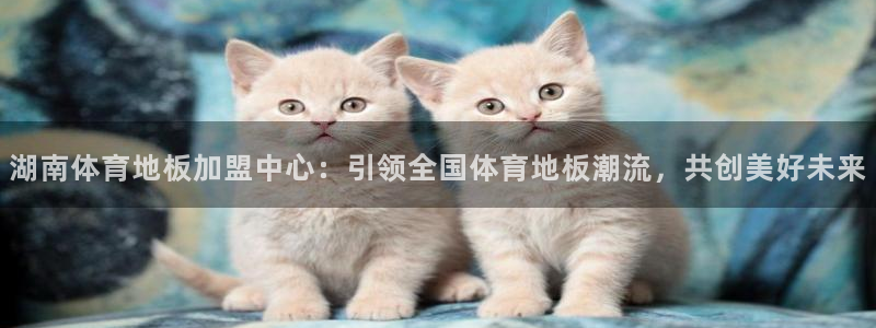 中欧农业产业混合A：湖南体育地板加盟中心：引领全国体育地板潮流，共创美好未来
