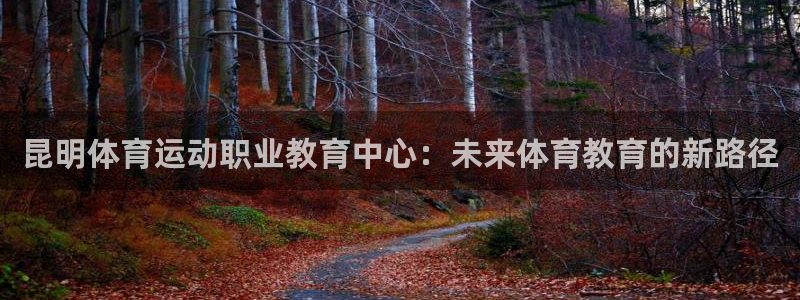 中欧可转债a：昆明体育运动职业教育中心：未来体育教育的新路径