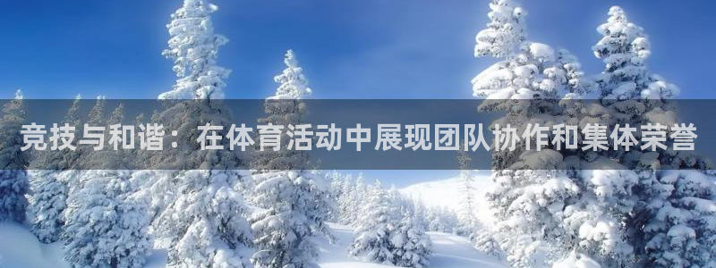 中欧鼎利C怎么样：竞技与和谐：在体育活动中展现团队协作和集体荣誉